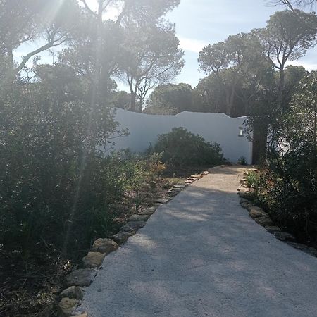 Casa Palmito 2 Villa Chiclana de la Frontera Exteriör bild